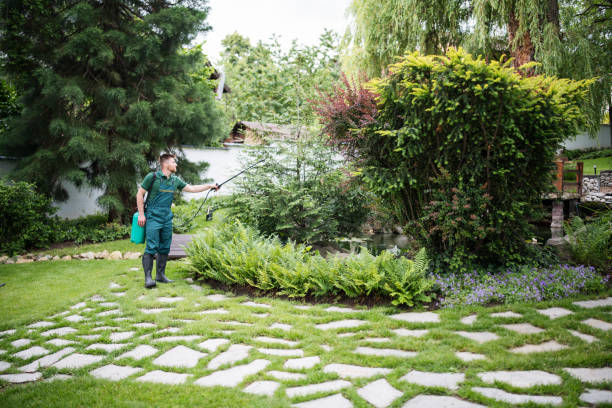 Best Lawn Grading and Leveling  in Union Beach, NJ