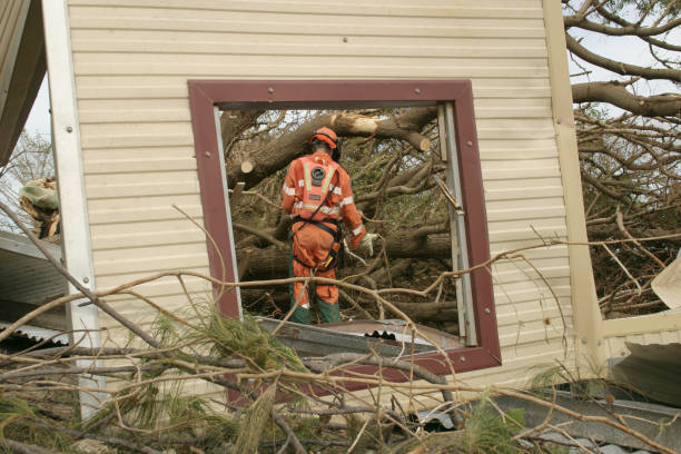 Best Tree Preservation Services  in Union Beach, NJ