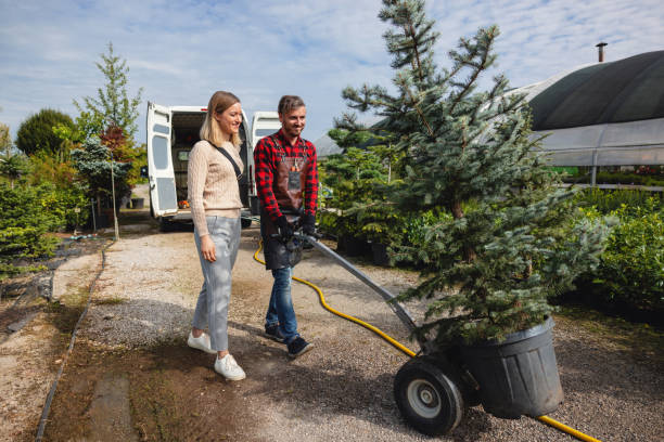 Lawn Watering Services in Union Beach, NJ